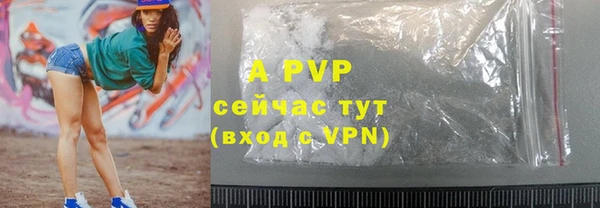 шишки Аркадак
