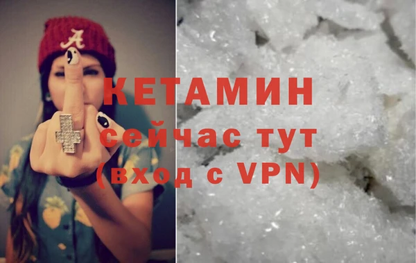 шишки Аркадак