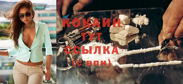 шишки Аркадак