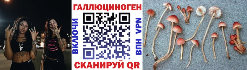 Галлюциногенные грибы Magic Shrooms  мега ONION  Малая Вишера  хочу  